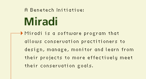 Miradi